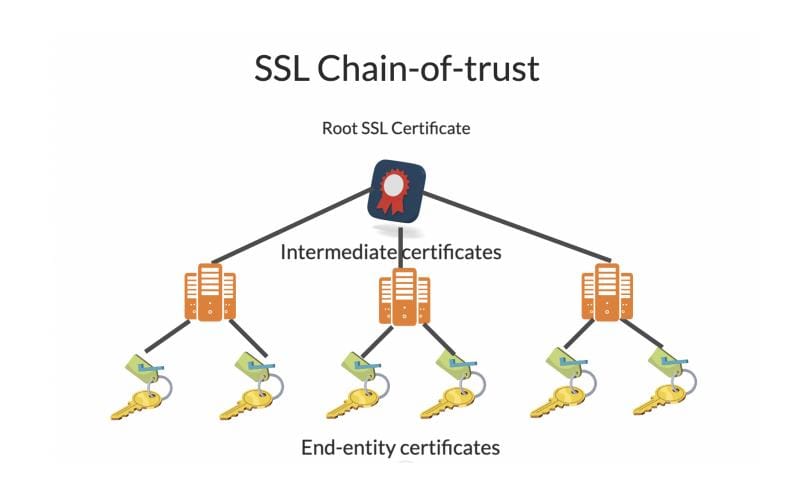 گواهی میانی SSL