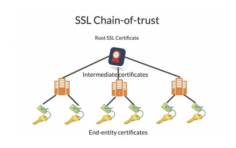 گواهی میانی SSL