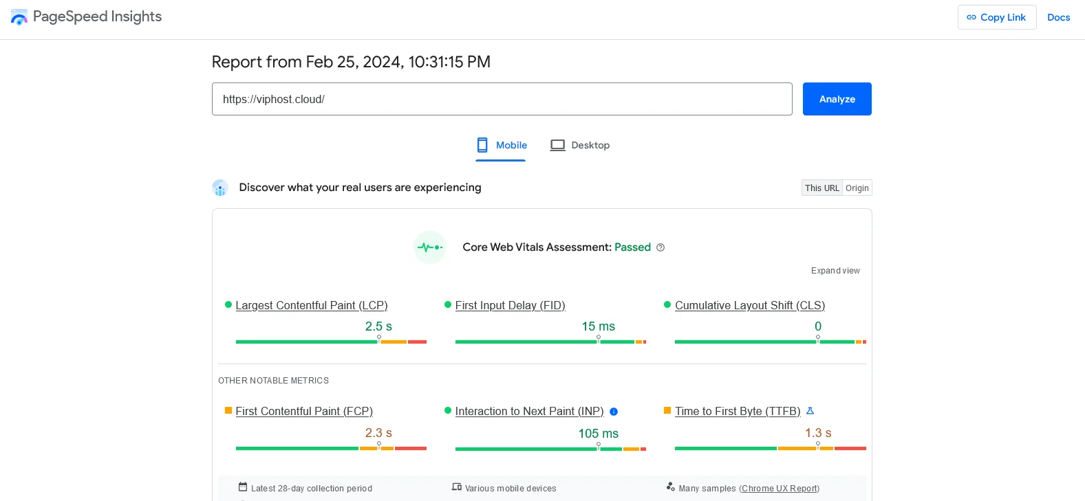 PageSpeed Insights
